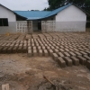 Production of bricks